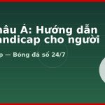 Kèo châu Á: Hướng dẫn đọc handicap cho người mới